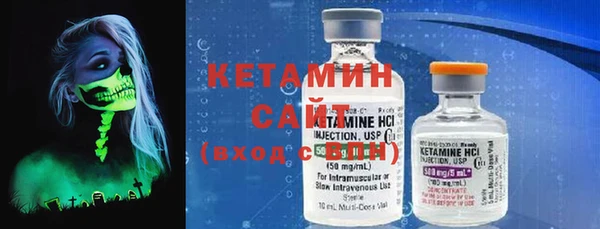 индика Богородицк