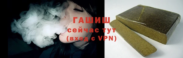 индика Богородицк