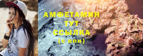 индика Богородицк
