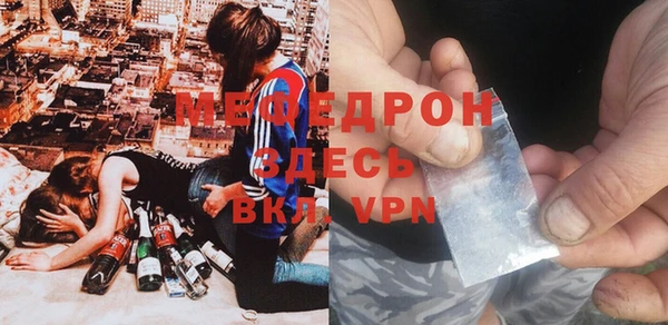 индика Богородицк