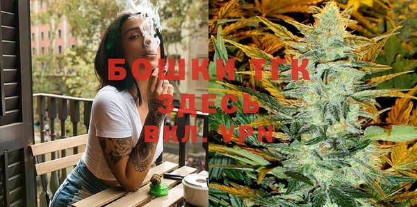 индика Богородицк