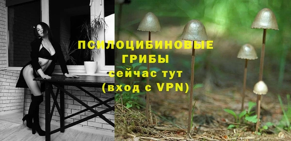 альфа пвп Белокуриха